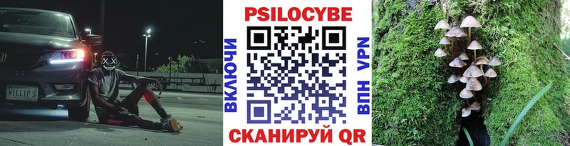 Псилоцибиновые грибы Cubensis  наркошоп  Черняховск 