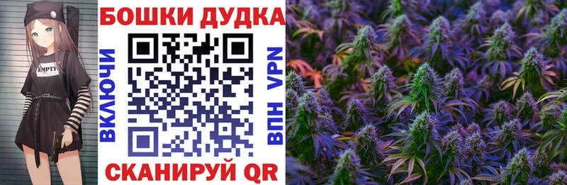 как найти закладки  Черняховск  Конопля планчик 